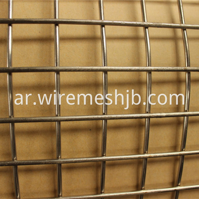 Galvanized Welded Wire Mesh